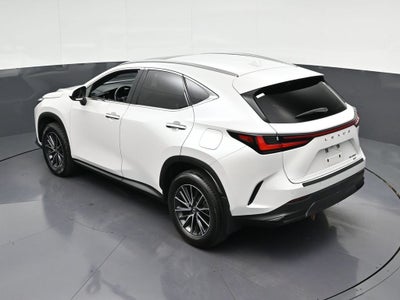 2024 Lexus NX 350 Premium