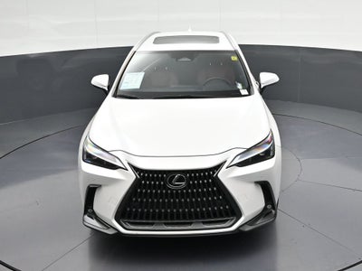 2024 Lexus NX 350 Premium