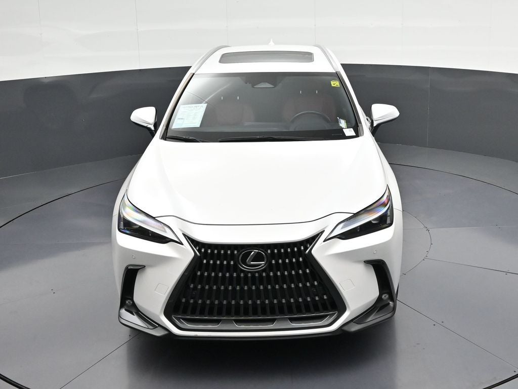 2024 Lexus NX 350 Premium