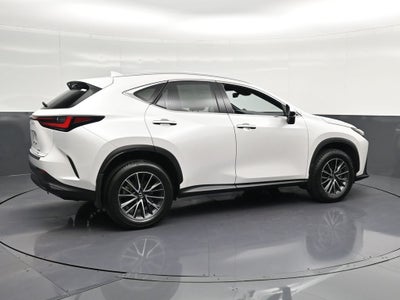 2024 Lexus NX 350 Premium