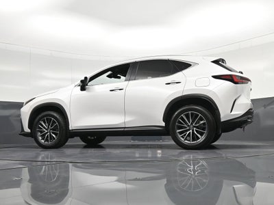 2024 Lexus NX 350 Premium