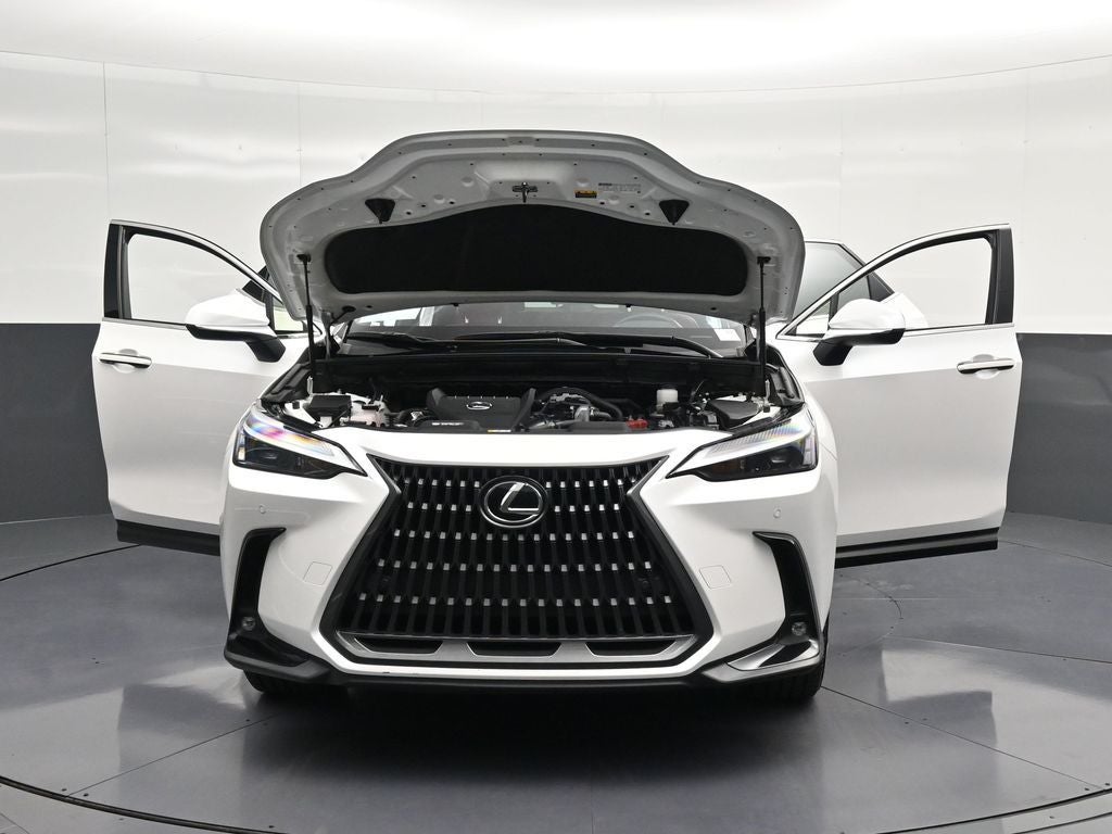 2024 Lexus NX 350 Premium