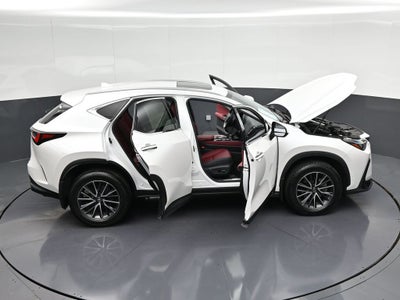 2024 Lexus NX 350 Premium