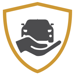 Advanced Protection Icon